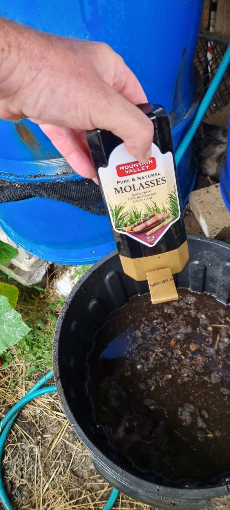 Add molasses to the mixture for the microbes.